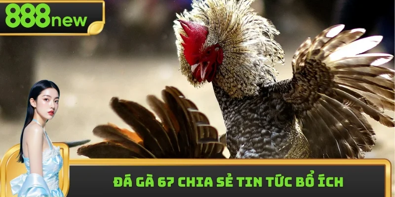 Kênh cập nhật nhiều thông tin bổ ích