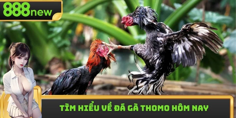 Người xem được theo theo dõi miễn phí, chất lượng sắc nét