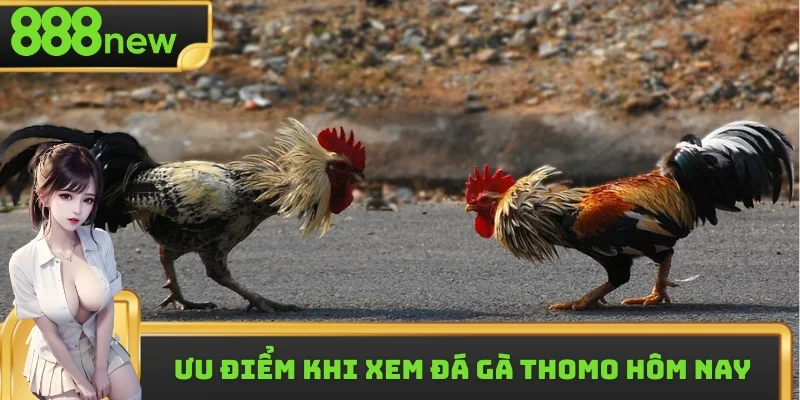 Người xem được theo theo dõi miễn phí, chất lượng sắc nét