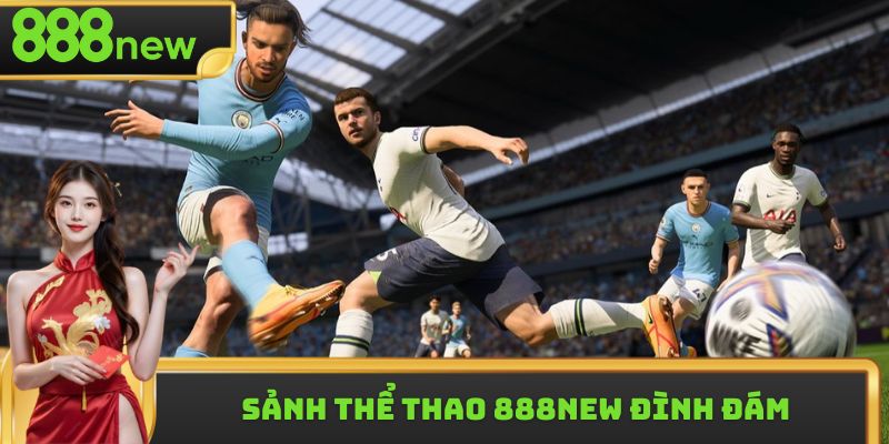 Giới thiệu sảnh thể thao 888new đình đám