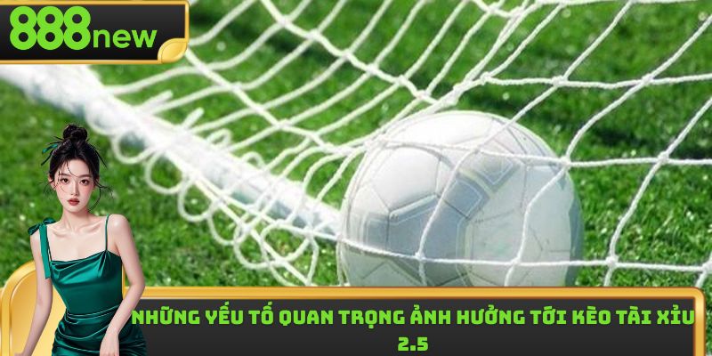 Một số thông tin cơ bản cần nắm được về kèo tài xỉu 2.5