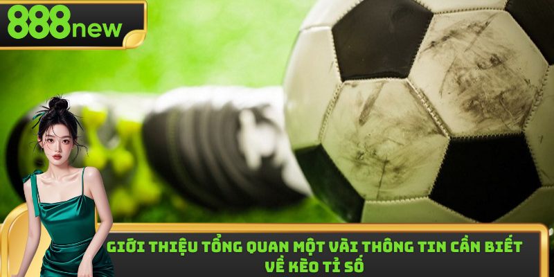 Một vài thông tin tổng quan cần nắm được về kẻo tỉ số